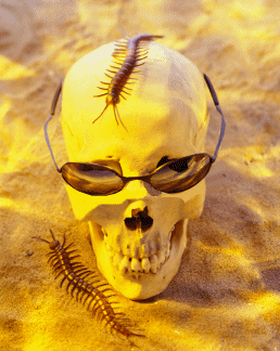 Happy-Halloween-skull.gif