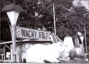 Wacky Golf in Jacksonville, FL